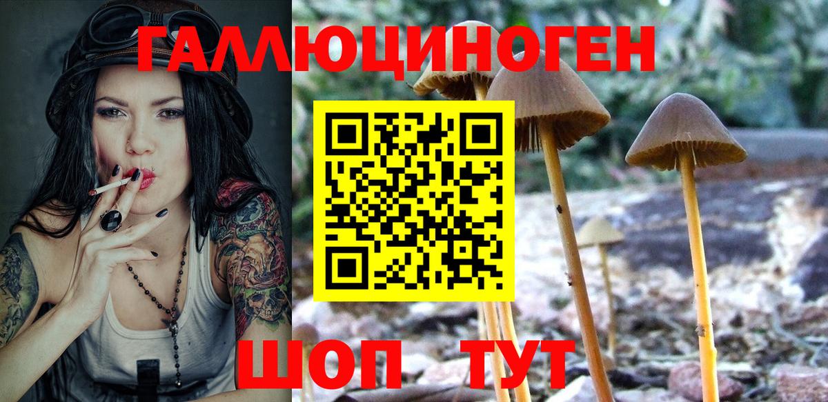 Псилоцибиновые грибы MAGIC MUSHROOMS  Вход с VPN  Псилоцибиновые грибы Magic Shrooms  Кириши 
